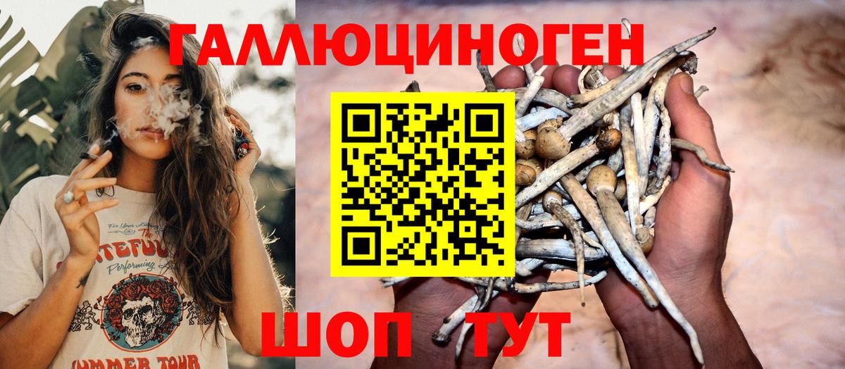 Галлюциногенные грибы MAGIC MUSHROOMS Черкесск